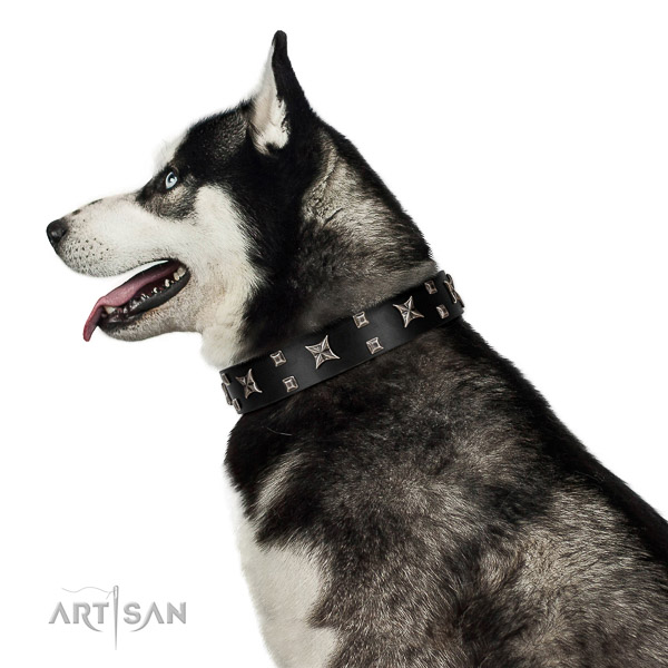 Elegant walking black leather Husky collar with
fashionable decorations