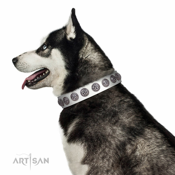 Extraordinary walking white leather Husky
collar with
chic decorations