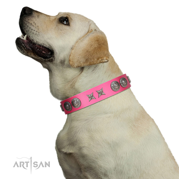 Walking top-notch quality walking leather Labrador
collar