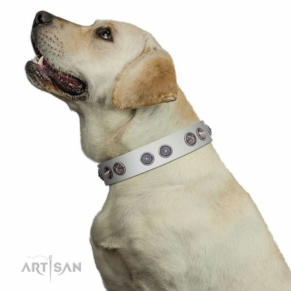 Handmade walking white leather Labrador collar with
unique design