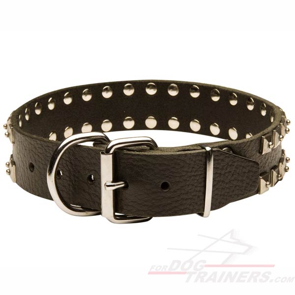 Designer Dog Collar