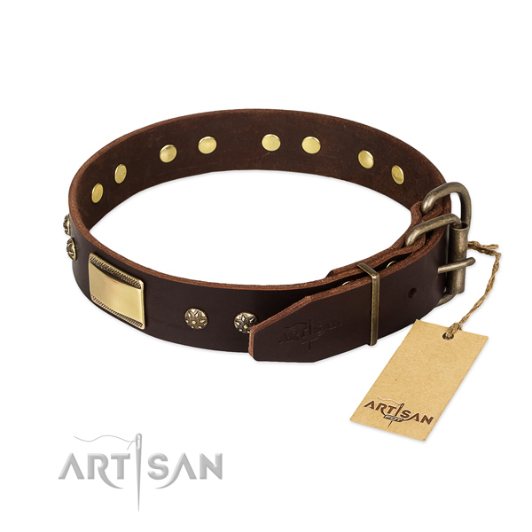 Best Quality Dog Collar