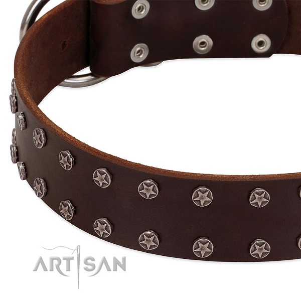 Perfectly Oiled Brown Leather Dog Collar with Vintage Stars