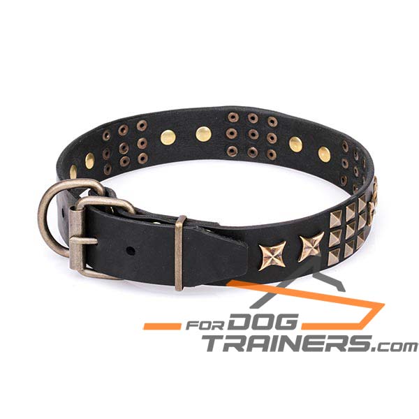 Stylish Adornment on Dog Collar