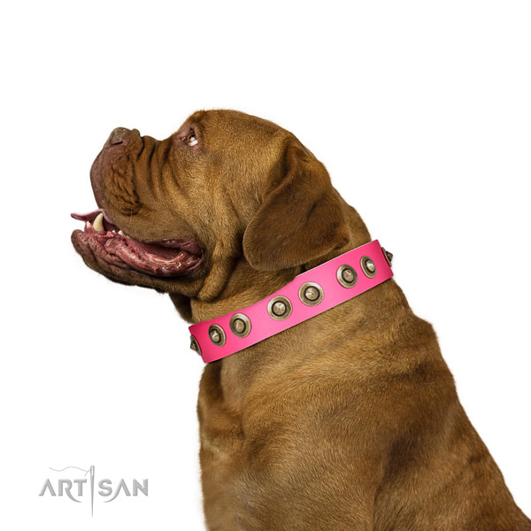 Best Quality Leather Dogue de Bordeaux Collar with Goldish Circles