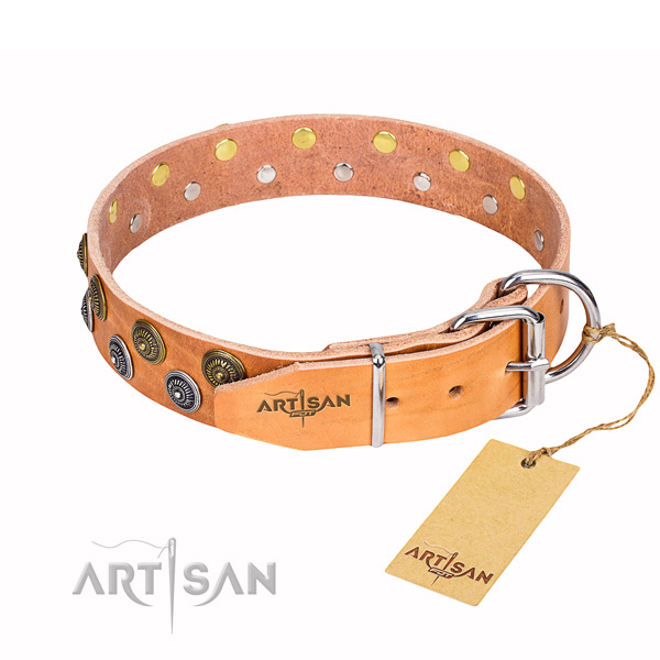 Tan leather dog collar with durable fittings