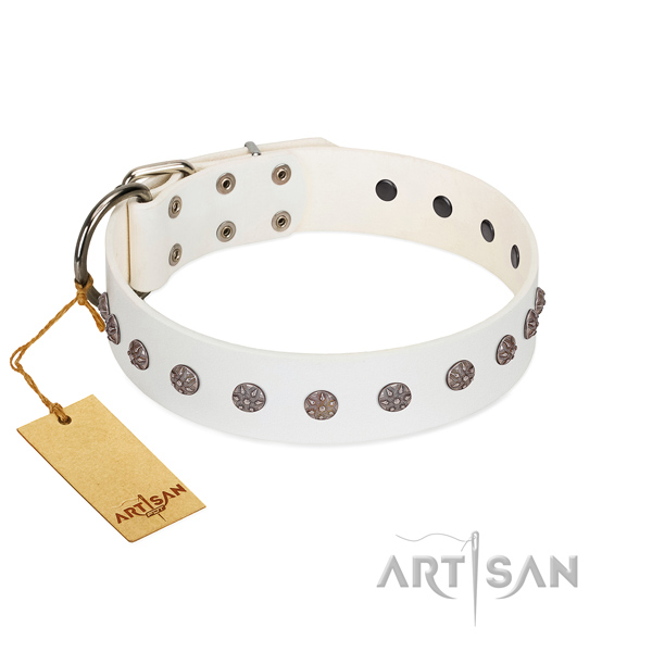 Fabulous FDT Artisan leather dog collar