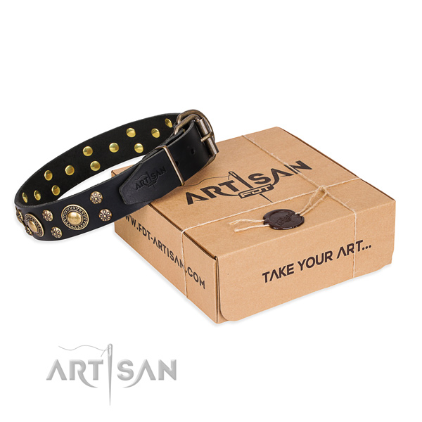 Fashion studded black leather dog collar