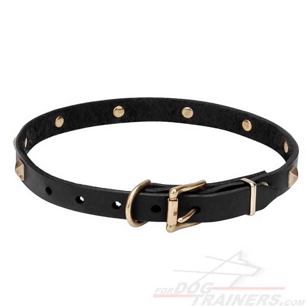 Rust-resistant hardware on leather dog collar