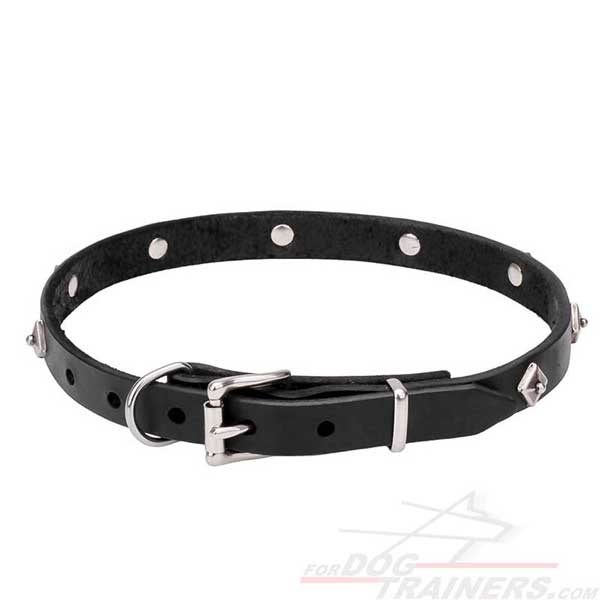 Rust-resistant fittings on leather dog collar