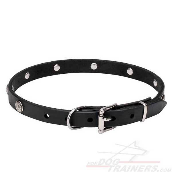 Rust-resistant fittings on leather dog collar