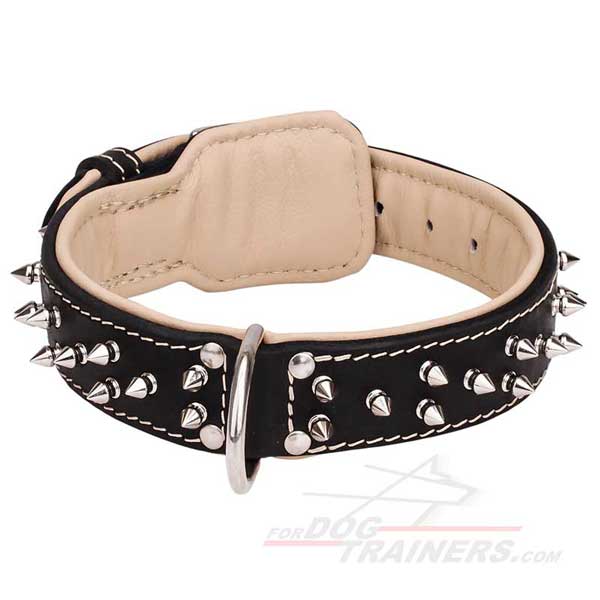 Spiked Leather Dog Collar