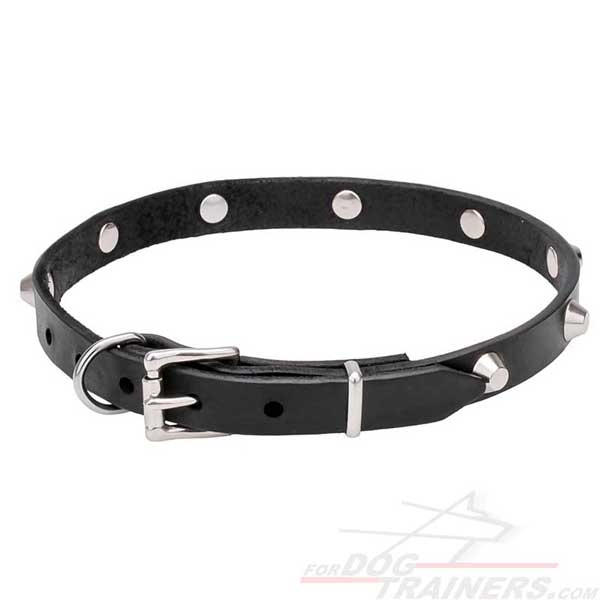 Rust-resistant hardware for leather dog collar