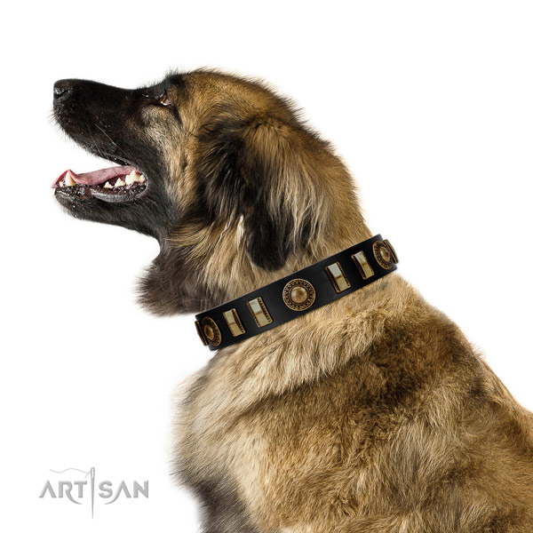 Dependable Leonberger Artisan leather collar of optimal
width