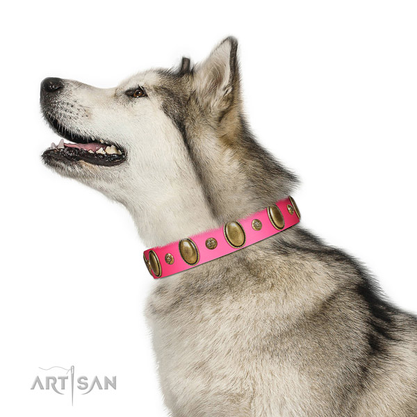 Comfortable Malamute Artisan leather collar of optimal
width