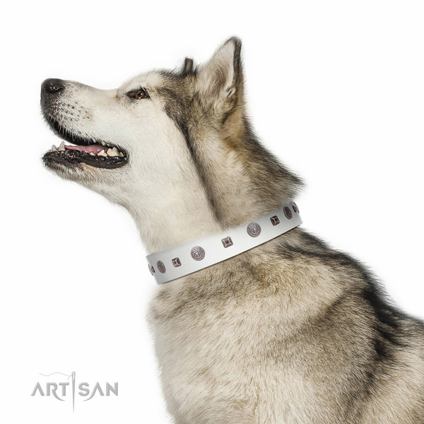 Walking top-notch quality walking leather Malamute
collar