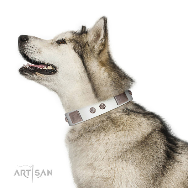 Soft Leather Malamute Collar is Comfortable
to Wear