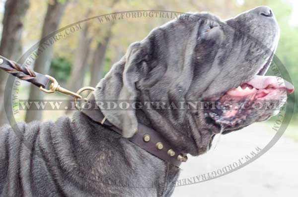 Walking Leather Mastino Napoletano Collar