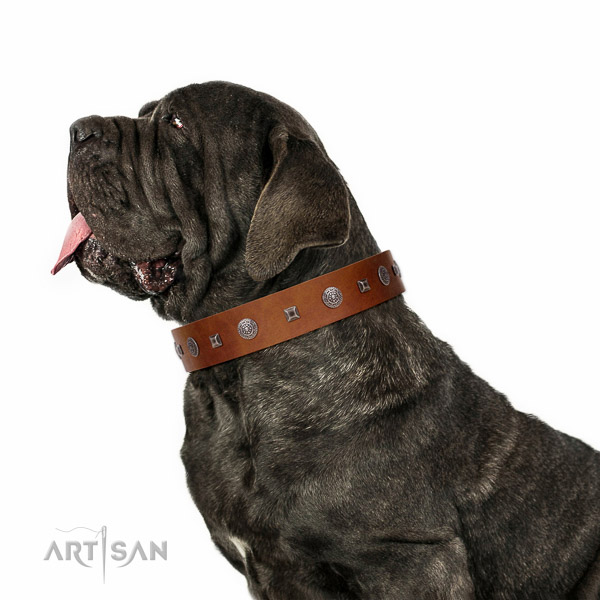 Extraordinary walking tan leather Mastino Neapoletano collar with
chic decorations