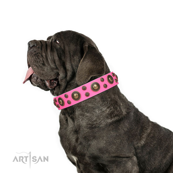 Mastino Neapoletano fine quality full grain genuine leather dog collar with decorations