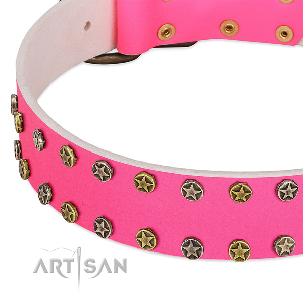 Set of stars handset in 2 rows on FDT Artisan dog
collar