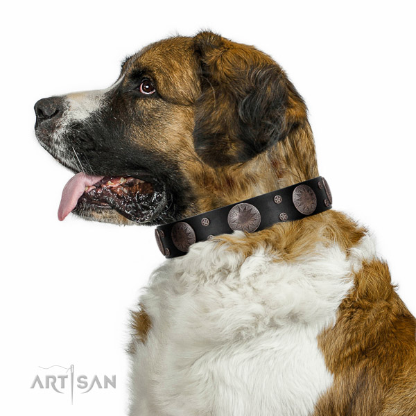 Walking top-notch quality walking leather Moscow Watchdog
collar