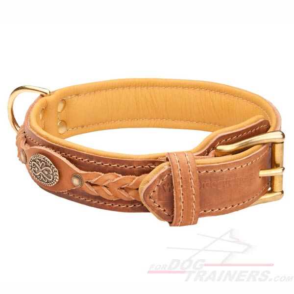 Royal Leather Padded Dog Collar