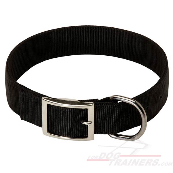 Nylon Dog Collar