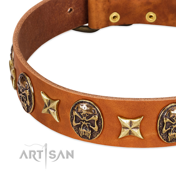 Old bronze-like stars and skulls on tan leather FDT
Artisan collar