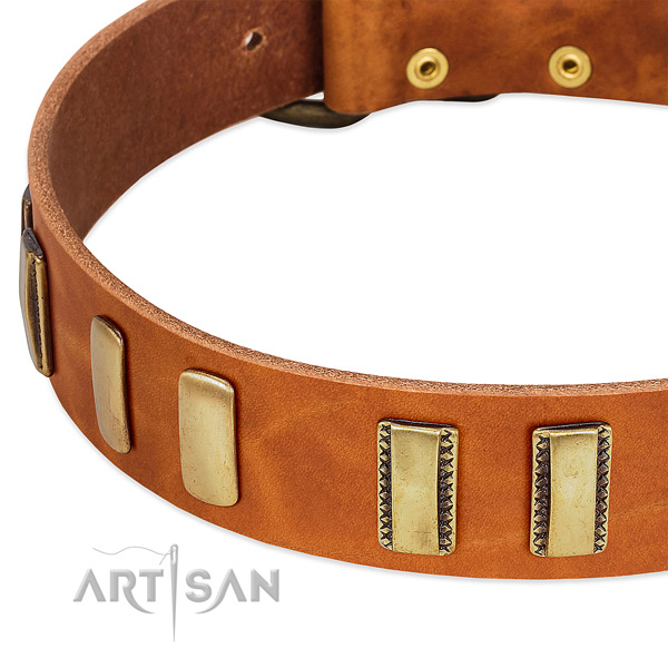 Rust Resistant Old Bronze-like Plated Fittings on Tan
Leather Dog Collar