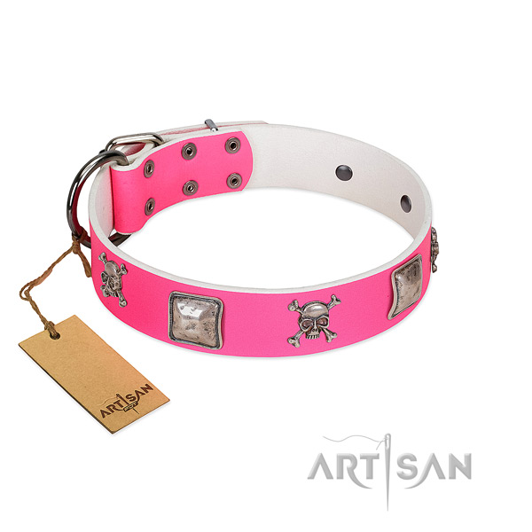 Elegant FDT Artisan leather dog collar