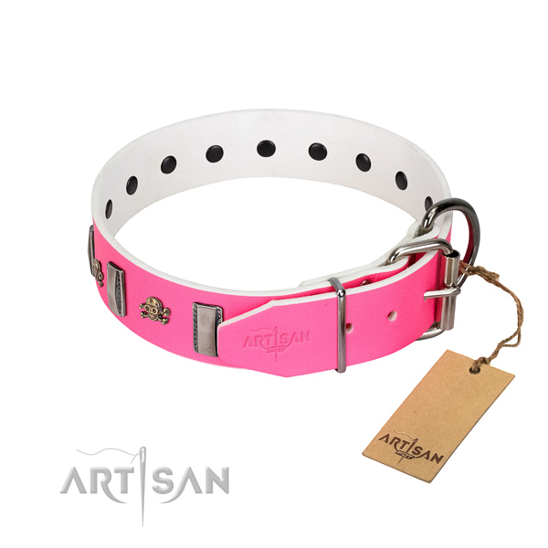 Studded leather dog collar with silver-like plated
fittings