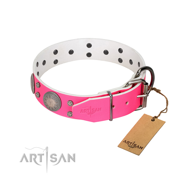 Studded leather dog collar with silver-like plated
fittings