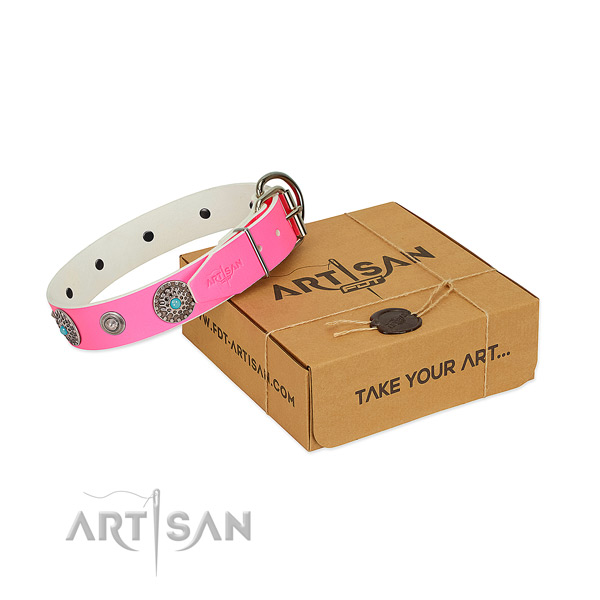 FDT Artisan leather dog collar for great walks