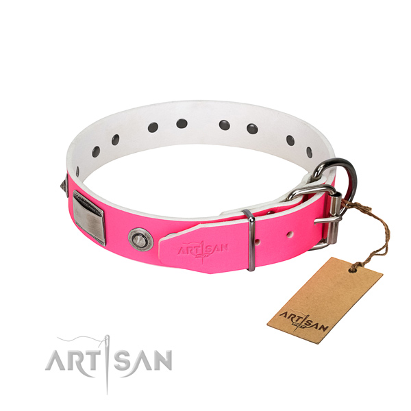 Comfortable leather dog collar with polished edges