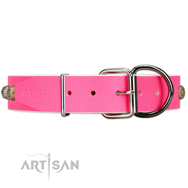 Leather dog collar with silver-like hardware