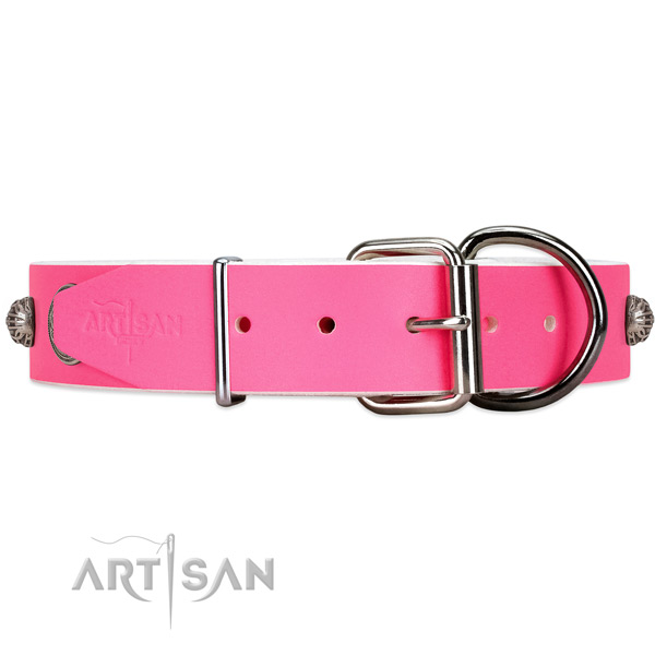 Leather dog collar with silver-like hardware