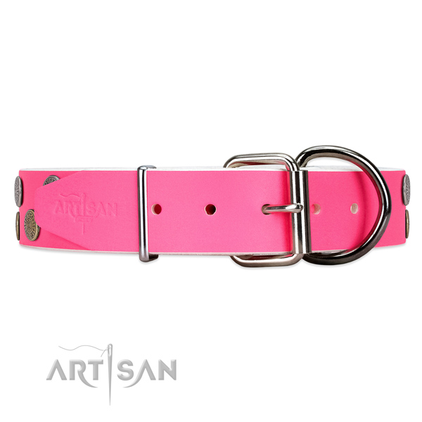 Studded leather dog collar with super reliable buckle