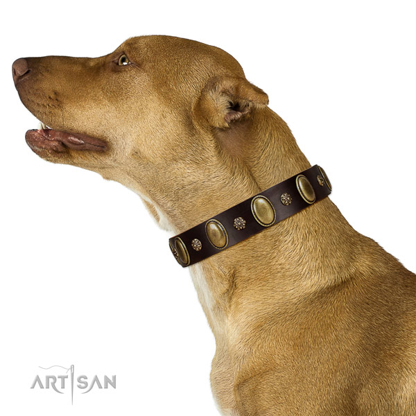 Super comfortable Bullmastiff Artisan leather collar of

optimal width