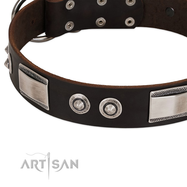 Brown dog collar with large plates and spiked studs