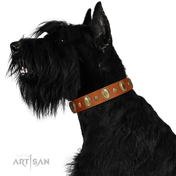 Wonderful Riesenschnauzer Artisan leather collar
for better control