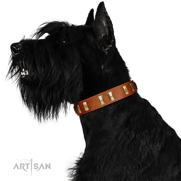 Riesenschnauzer fancy walking dog collar of natural
leather