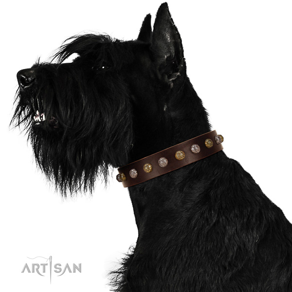 Leather Riesenschnauzer Collar with Stylish
Embellishments