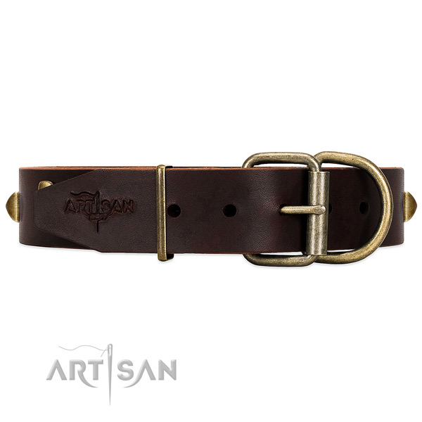 Reliable Hardware on Brown Leather Dog Collar