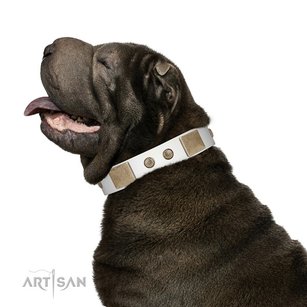 Soft Leather Dog Collar for Daily Use