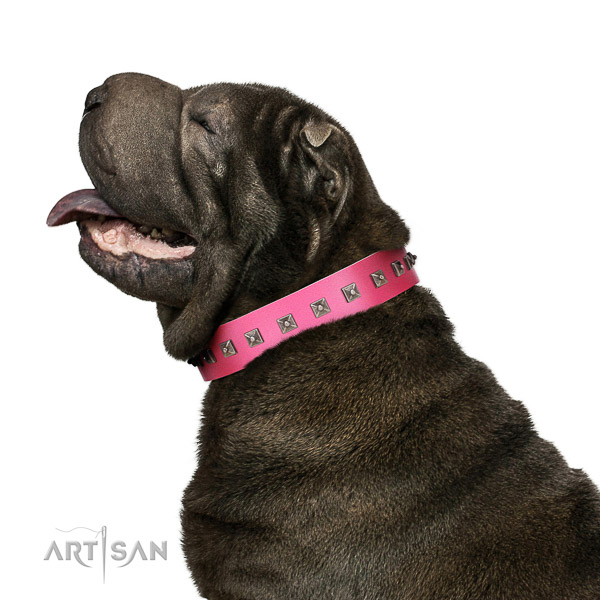 Walking top-notch quality walking leather Shar Pei
collar