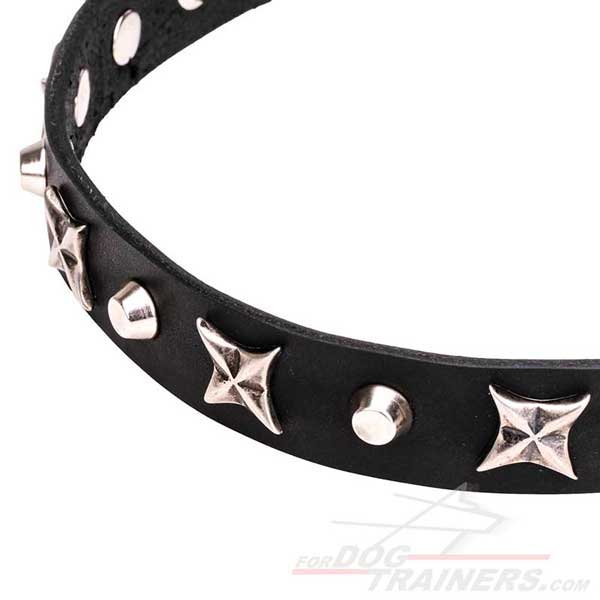 Designer Leather Dog Collar with Rustproof Studs