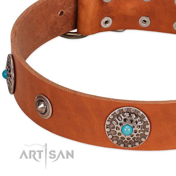 Tan leather dog collar with vintage decorations