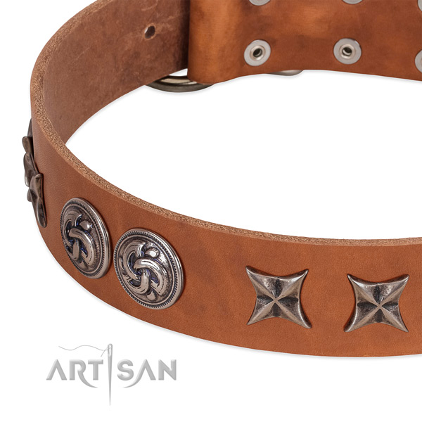 Tan leather dog collar with vintage decorations