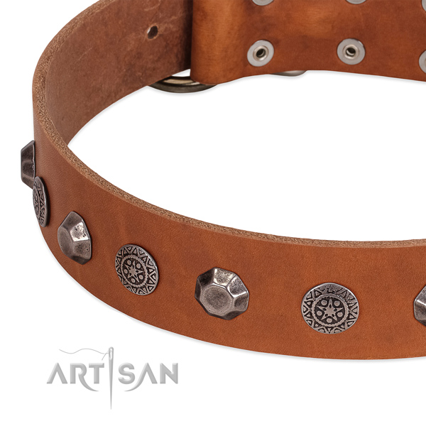 Tan leather dog collar with vintage decorations